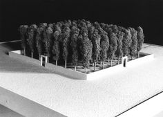 a group of trees sitting on top of a white counter