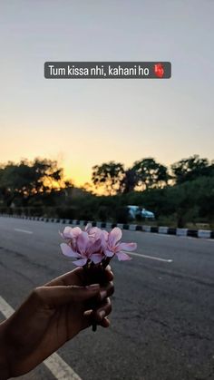 someone is holding flowers in their hand on the side of the road at sunset or dawn