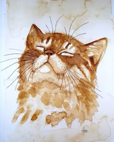 a watercolor drawing of a cat's face with it's eyes closed