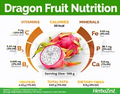 Dragon Fruit | HerbaZest Fruit Nutrition, Fruit Benefits, Healthy Benefits, Natural Health Remedies, Food Facts, Nutrition Information, Nutrition Tips, Health Remedies, Nutrition Recipes