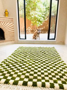 a dog sitting on the floor in front of a window with a green and white rug