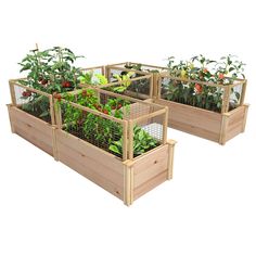 four wooden planters with plants growing in them