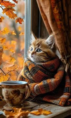 a cat is sitting on a window sill next to a cup