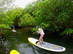 two people on surfboards in the water with trees and bushes behind them, while another person paddles