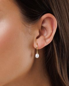 Introducing our charming Petite Pearls Hoops, a timeless addition to your jewelry collection. Each earring showcases a delicate hoop adorned with small freshwater pearl, adding a touch of classic sophistication to your look. The simple yet classic design makes them a perfect choice for everyday wear or to add a touch of refinement to your special moments. * Material: 18K Gold on Brass / Sterling Silver. * Special anti-tarnish protective coating. * Freshwater oval pearl, each pearl is unique and special.  * Comfortable and lightweight.  * Hoop Inner Diameter: 9mm * Pearl Size: Small, 5-7mm approx. * Sold in pairs. Small Pearl Drop Earrings Gold, Hoop Earrings With Pearls, Gold Hoop With Pearl, Luxury Everyday Pearl Hoop Earrings, Wedding Earrings Bride Simple, Minimalist Pearl Earrings With Lever Back, Dainty Wedding Earrings, Pearl Jewlery, Gold And Pearl Earrings