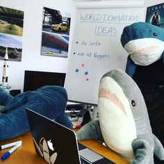 two stuffed sharks sitting on top of a desk