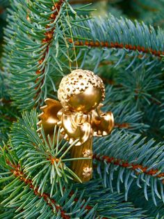 an ornament hanging from a pine tree