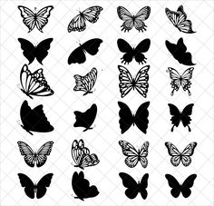 the silhouettes of different butterflies are shown in black and white, with one large butterfly on