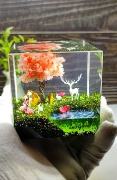 a hand holding up a small glass box filled with plants and animals in the water