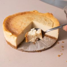 a piece of cheesecake being lifted from a pie pan with a fork in it