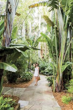 a woman is walking down a path in the middle of some tropical trees and plants