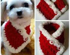 a small white dog wearing a red and white crocheted scarf with buttons on it's collar