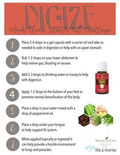 Digize Essential Oil, Young Living Oils Recipes, Essential Oil Starter Kit, Young Living Recipes, Living Oils Recipes