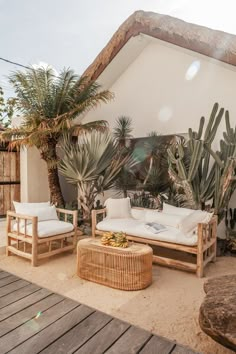 an outdoor living area with couches and plants