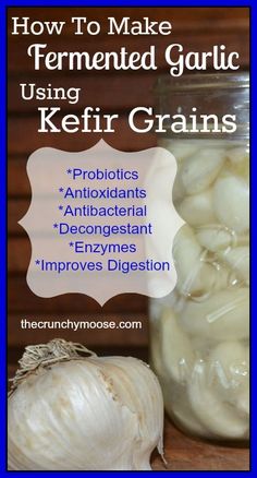 how to make fermeted garlic using kefir grains