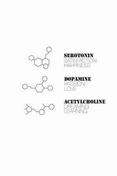 the book cover for serotronin, dopapine and acetylcholinne