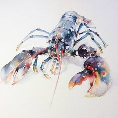 a watercolor painting of a lobster on white paper