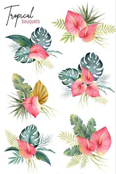 watercolor tropical flowers and leaves on a white background with the words tropical bouquets