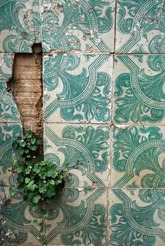 a plant growing out of the side of a wall in front of a green and white tile