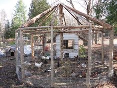 an old chicken coop with chickens in it