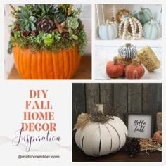 pumpkins and succulents are featured in this collage with the words diy fall home decor inspiration