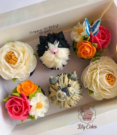 there are six cupcakes in the box with flowers on them and one is decorated like a cat