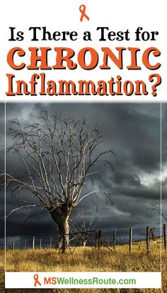 Chronic inflammation is the root cause of almost every major disease. Learn which test for chronic inflammation is best. | #wellnesstips #holistichealth Mthfr Gene Mutation, Food That Causes Inflammation, Vitamin K2, Holistic Nutrition, Healthy Lifestyle Tips, Proper Nutrition, Functional Medicine