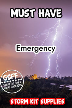 Great tips

https://www.groceryshopforfree.com/17-emergency-storm-kit-must-haves/