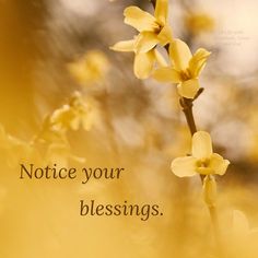 a yellow flower with the words, notice your blessing on it's back side