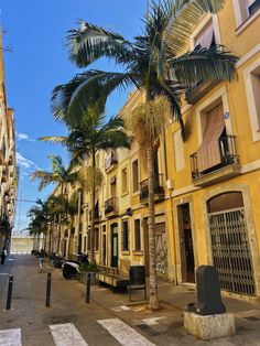 palm trees line the street in front of buildings