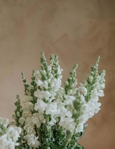 white flowers are in a vase on a table