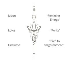 the four main elements in an enlightening energy flow, including lotus, lotus flower, and chakra