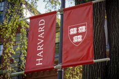 two harvard flags hanging from a pole in front of a building with trees and bushes