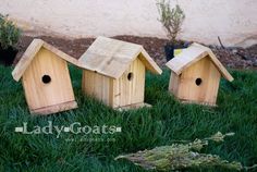 three wooden bird houses sitting in the grass