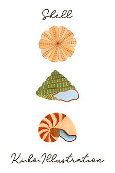 three seashells with the words see, kilo's illustrations on them