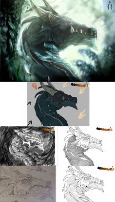 several different images of the same creature