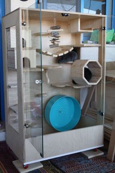 a display case with various items in it on the floor next to a rug and blue wall