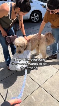 two women petting a small dog on a leash