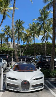 a white bugatti parked in front of palm trees on a parking lot with other cars