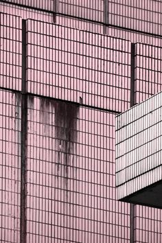 a bird is perched on the side of a pink building with bars in it's windows