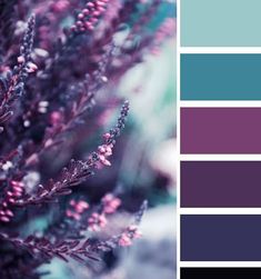 purple and blue color palette with flowers