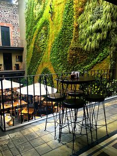 tables and chairs in front of a wall with green plants on the outside, near an outdoor cafe