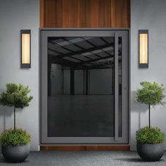 two potted plants sitting in front of a glass door with lights on the side