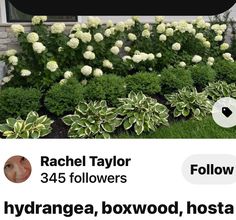 the flowers are blooming in front of the house and it's name is rachel taylor