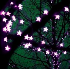 purple and green stars are in the branches of a tree at night, against a black background