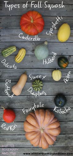 an image of different types of squash on a wooden table with the names in english