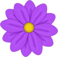 a purple flower with yellow center on a white background