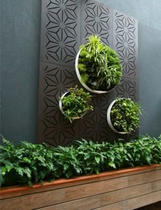 an indoor planter with plants in it