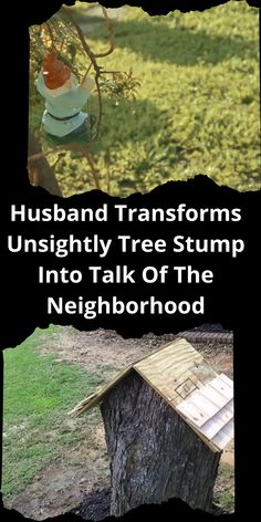 two pictures with the words husband transforms unsightly tree stump into talk of the neighborhood