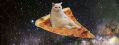 a white cat sitting on top of a piece of pizza in the middle of space